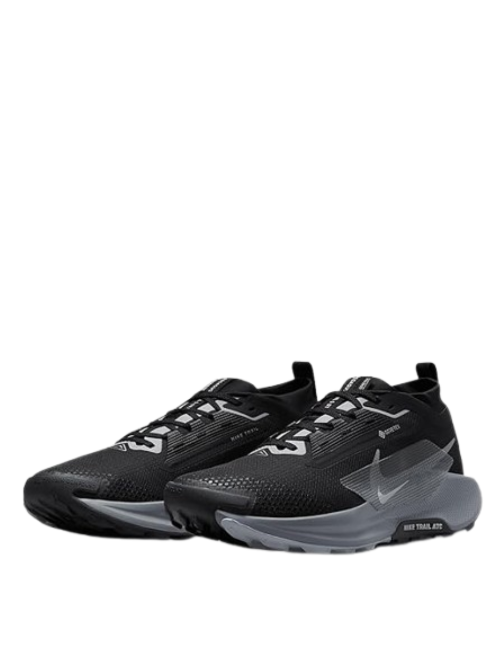 Nikee Pegasus  Trail 5 GoreTex Black Grey