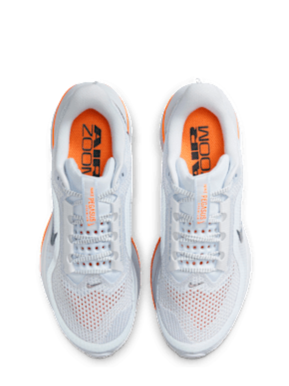 Nikee Air Zoom Pegasus Premium Airscape