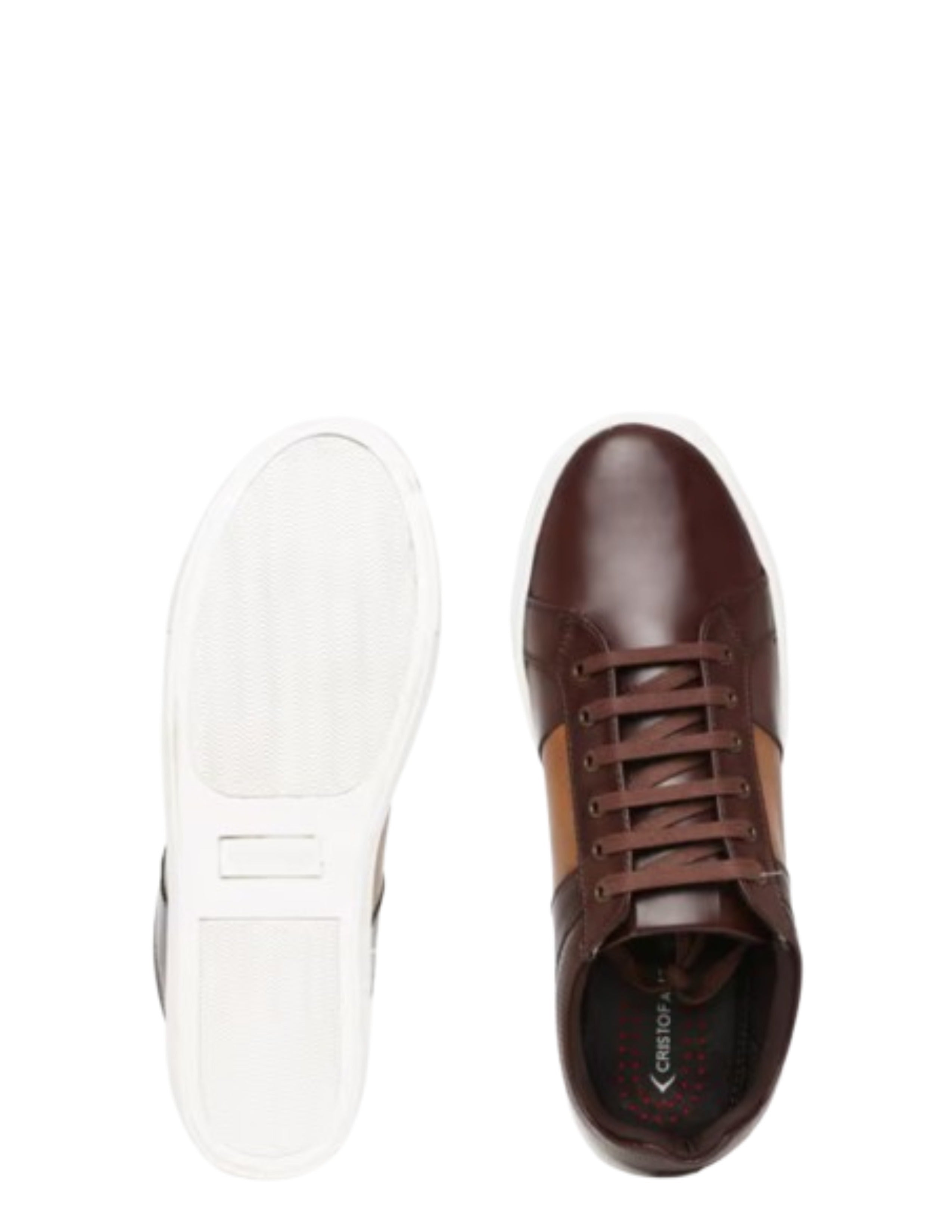 Timberland Tan White Casual Sneaker